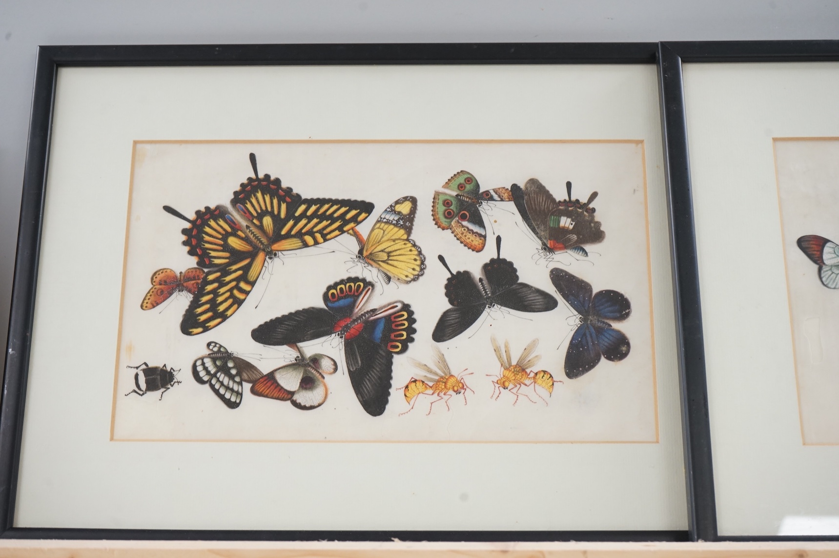 19th century, Chinese School, four pith paper paintings, Butterflies and insects, 20 x 32cm, one housed in a carved wood frame
